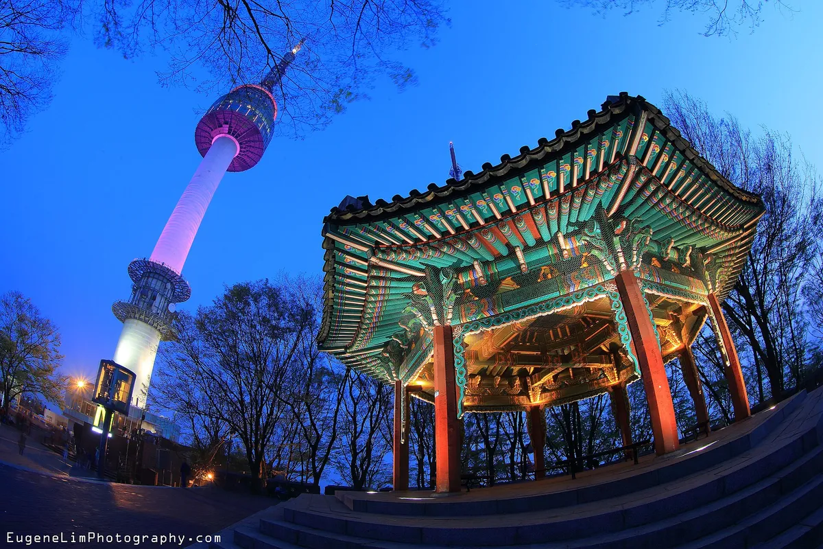 N Seoul Tower illuminated at night above Namsan park in Seoul