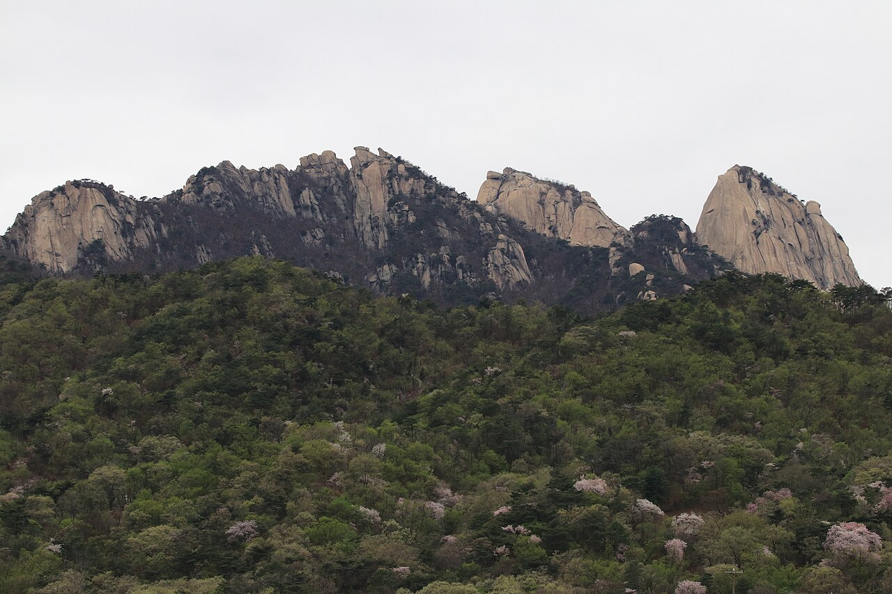 Rocky granite peaks rising above a forested slope dotted with pale pink blossoms under an overcast sky