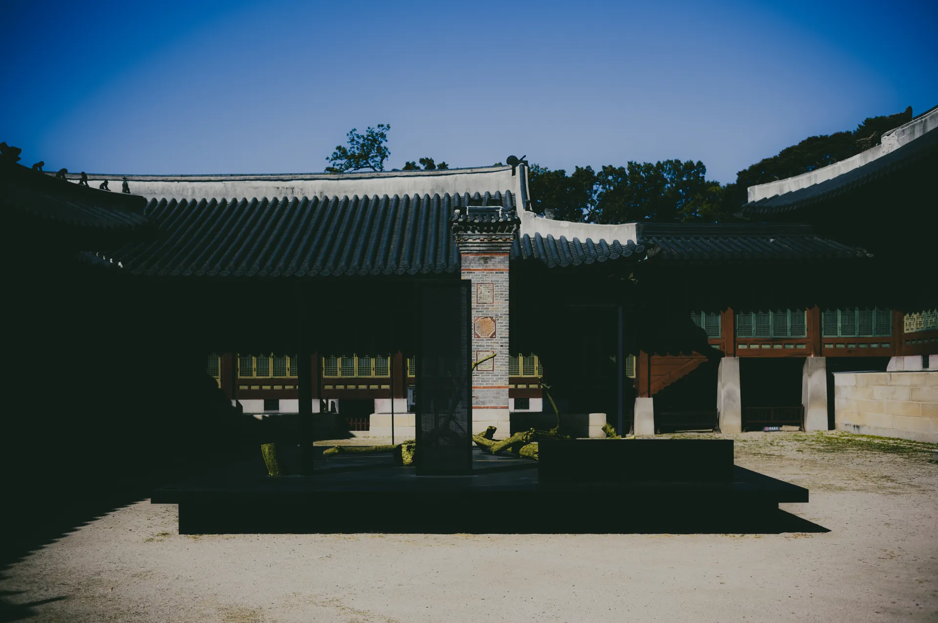 The Order of White at Changdeokgung's Huijeongdang