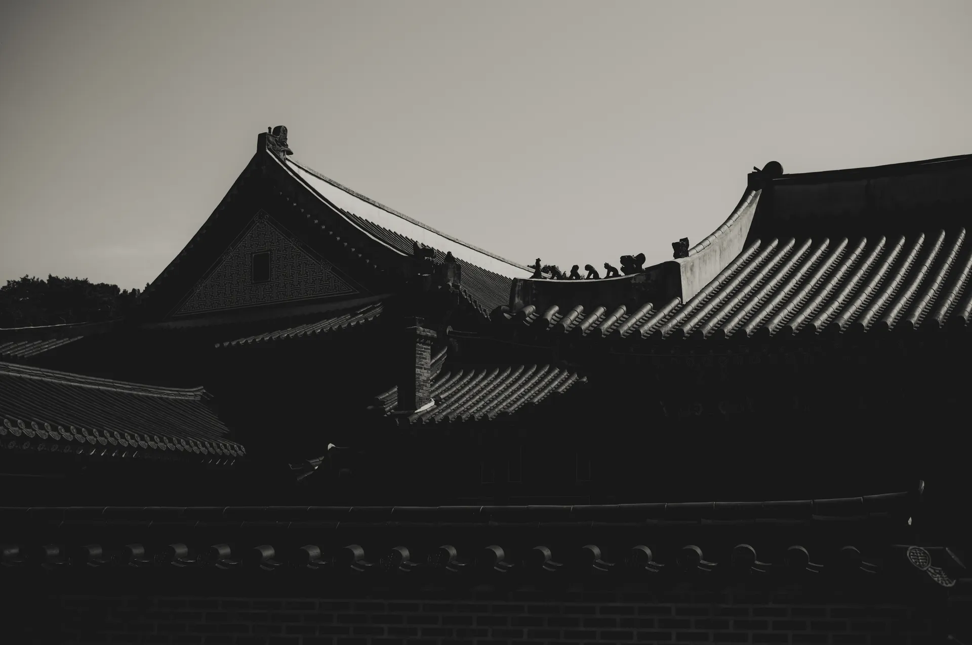 The Order of White at Changdeokgung's Huijeongdang