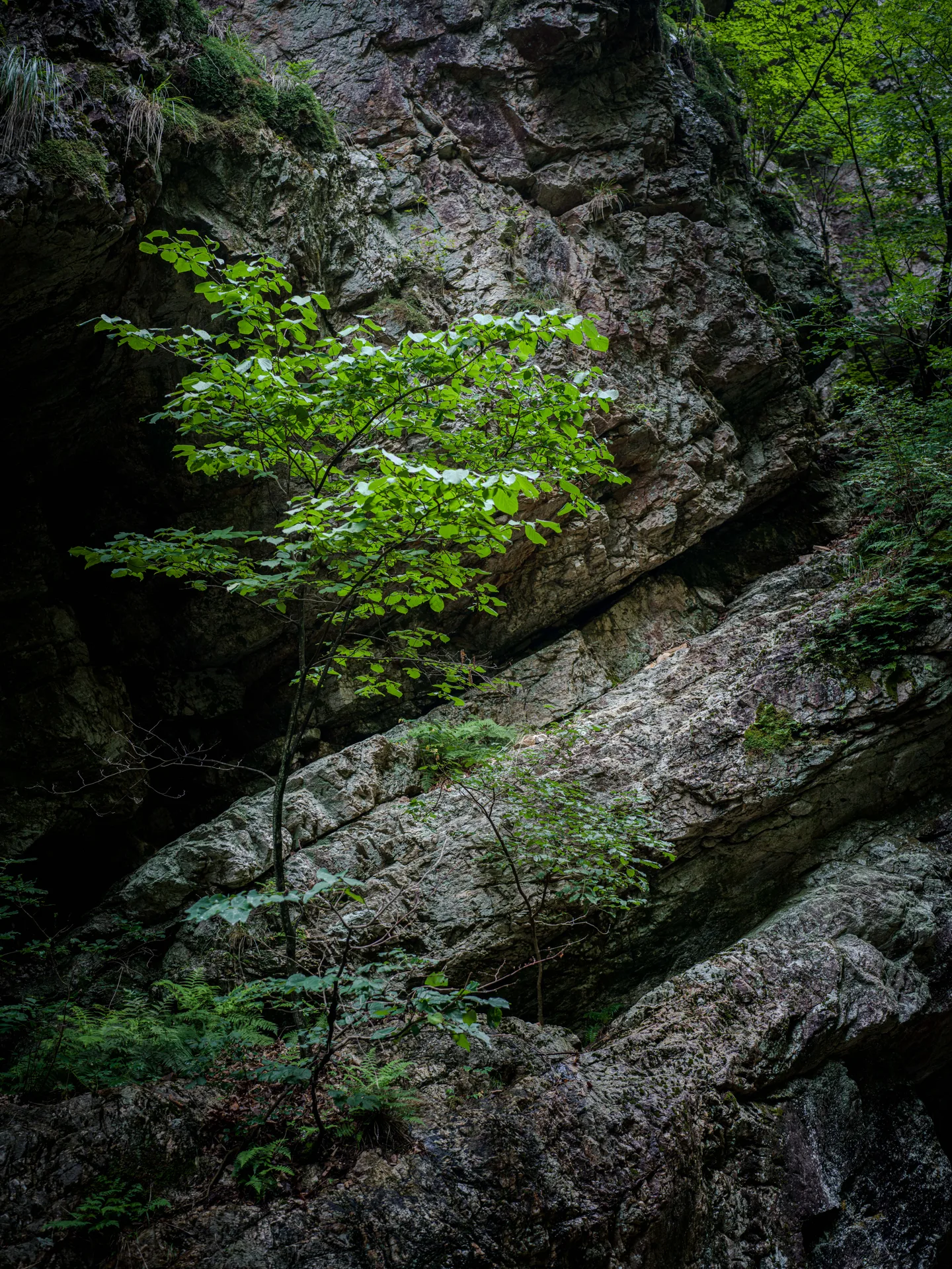 Deungseon Falls, a Cool Gorge on Chuncheon's Samaksan