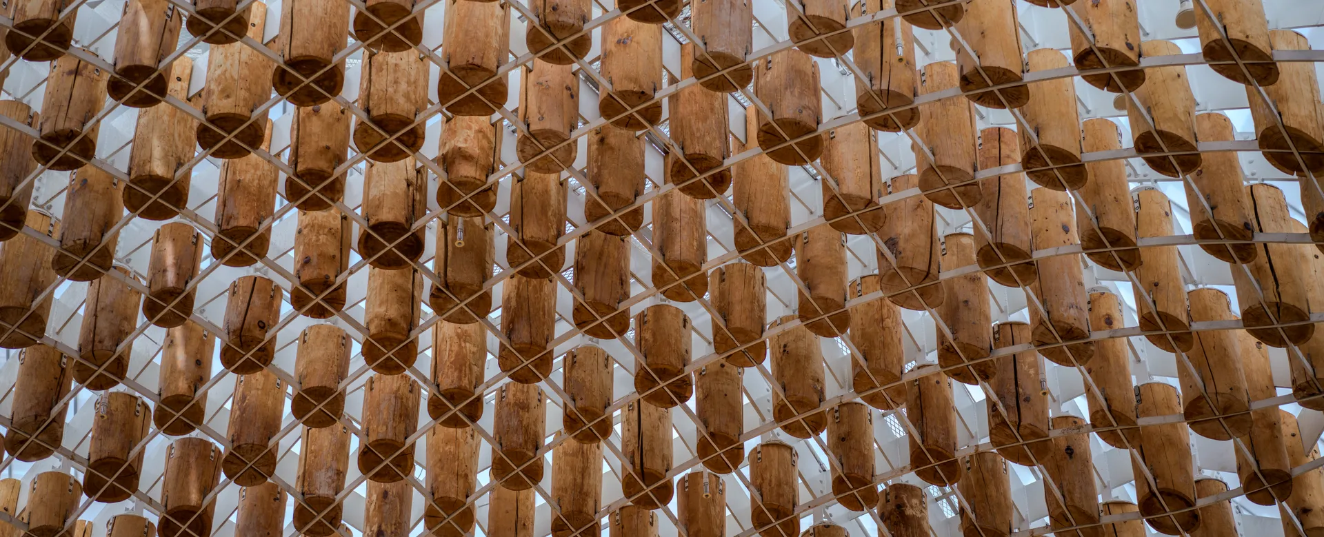 Light of Life Chapel, Where Timber Columns Become a Forest