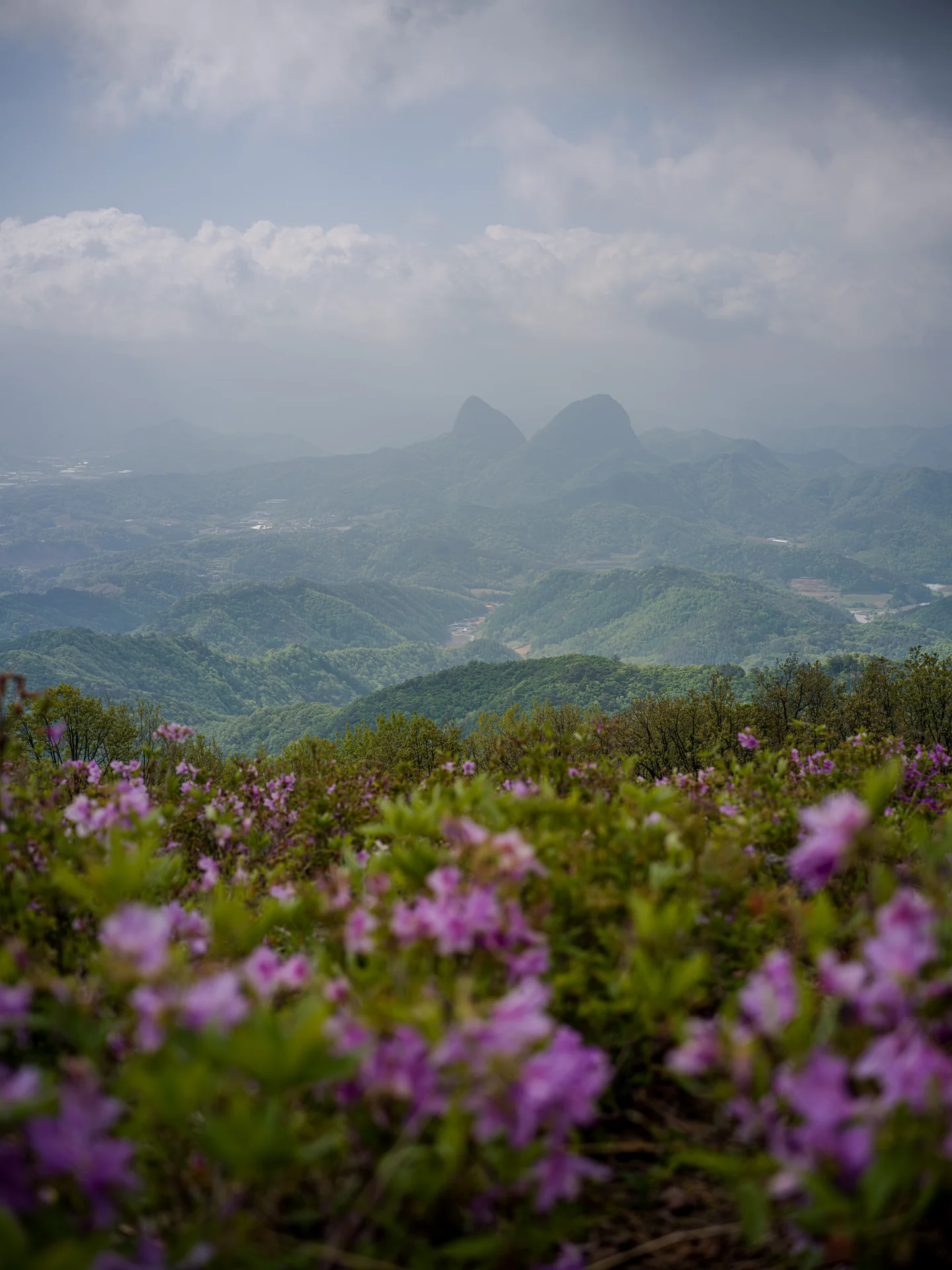 Maisan, the Horse Ears