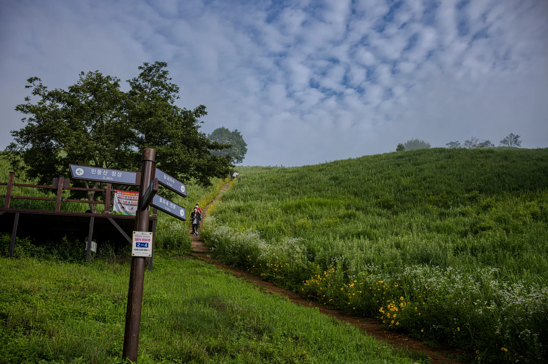 Mindungsan, a Treeless Ridge Wrapped in a Summer Sea of Clouds