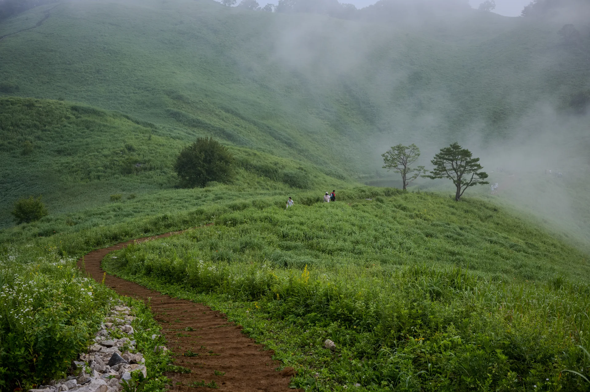 Mindungsan, a Treeless Ridge Wrapped in a Summer Sea of Clouds