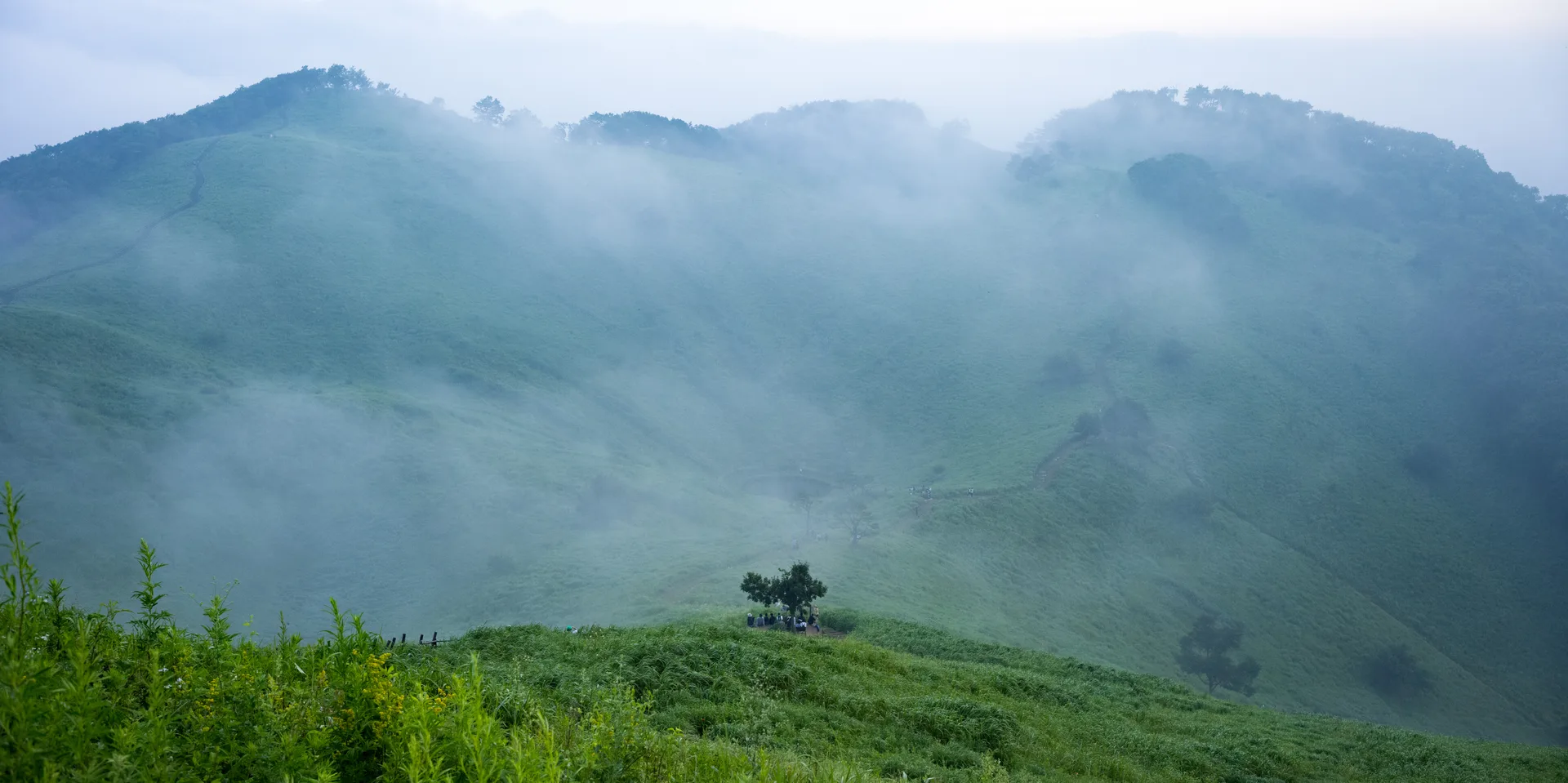 Mindungsan, a Treeless Ridge Wrapped in a Summer Sea of Clouds