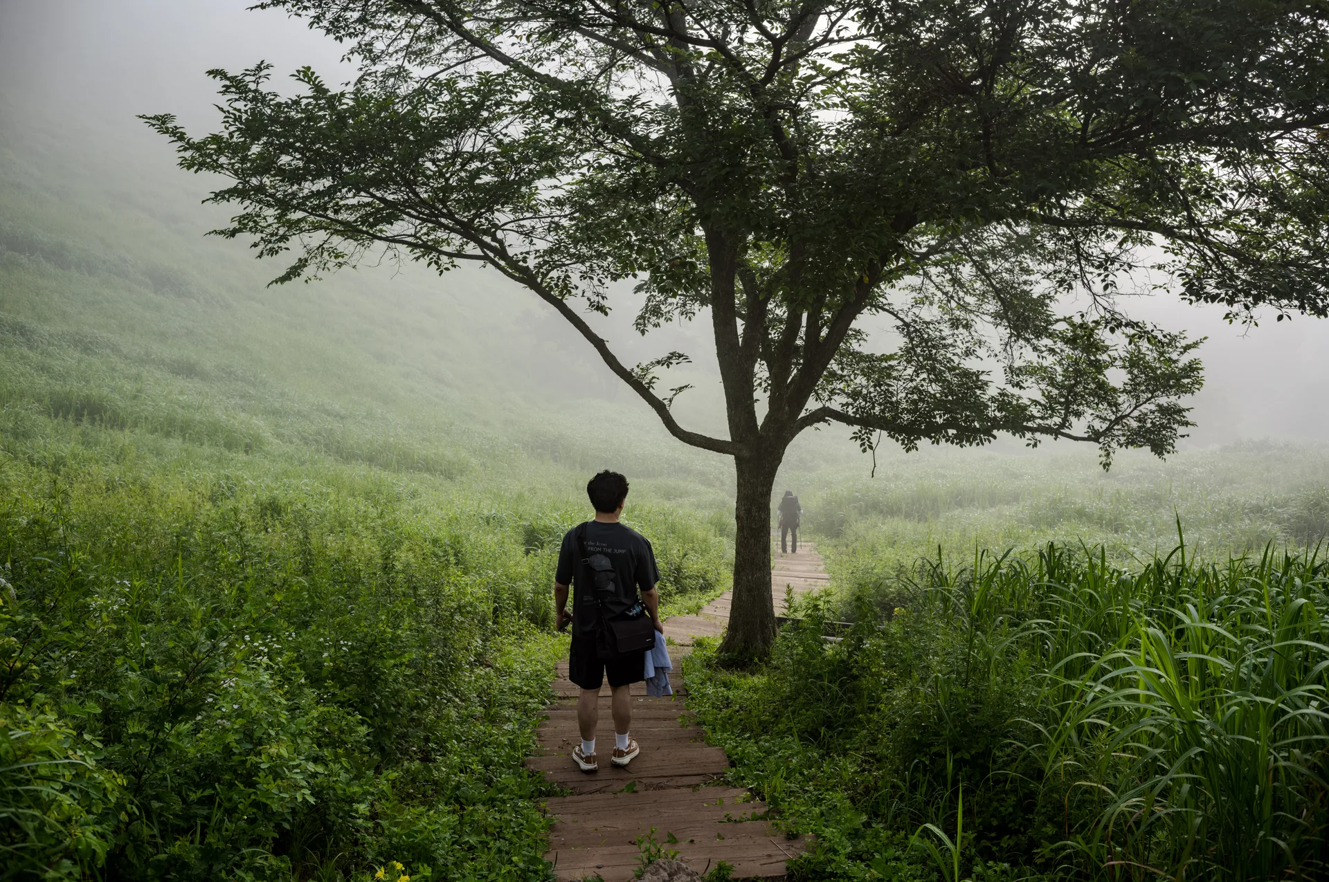Mindungsan, a Treeless Ridge Wrapped in a Summer Sea of Clouds