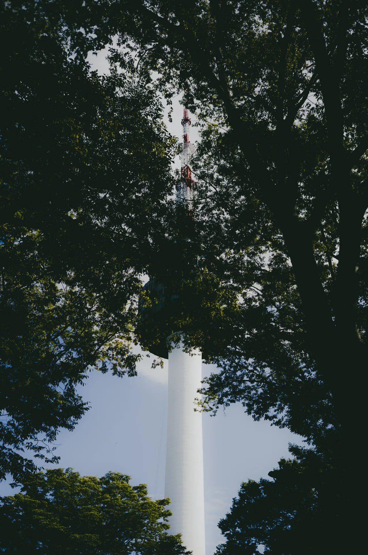Namsan and N Seoul Tower, from City Streets to the Summit
