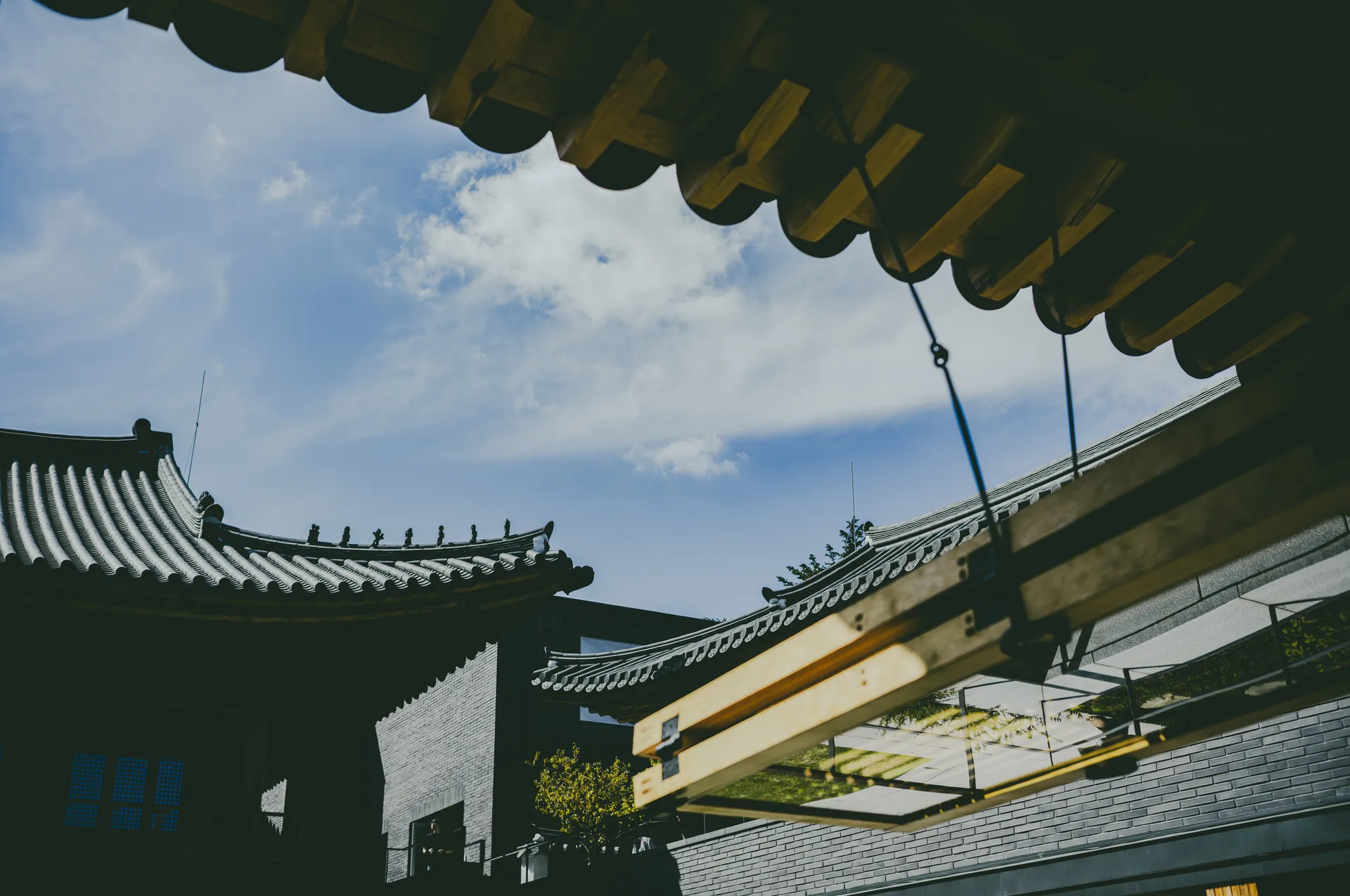 Sunhyewon in September: Hanok, Gold and a Web of Glass