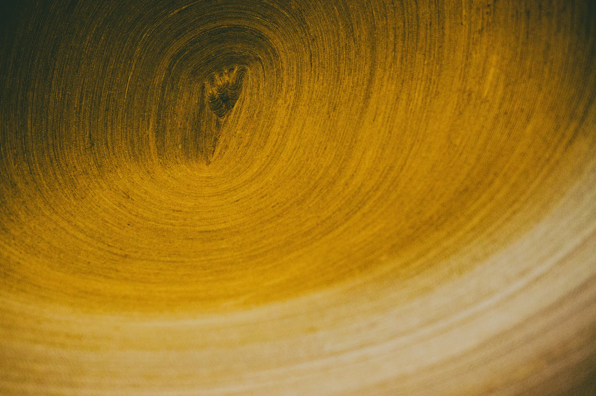Sunhyewon in September: Hanok, Gold and a Web of Glass