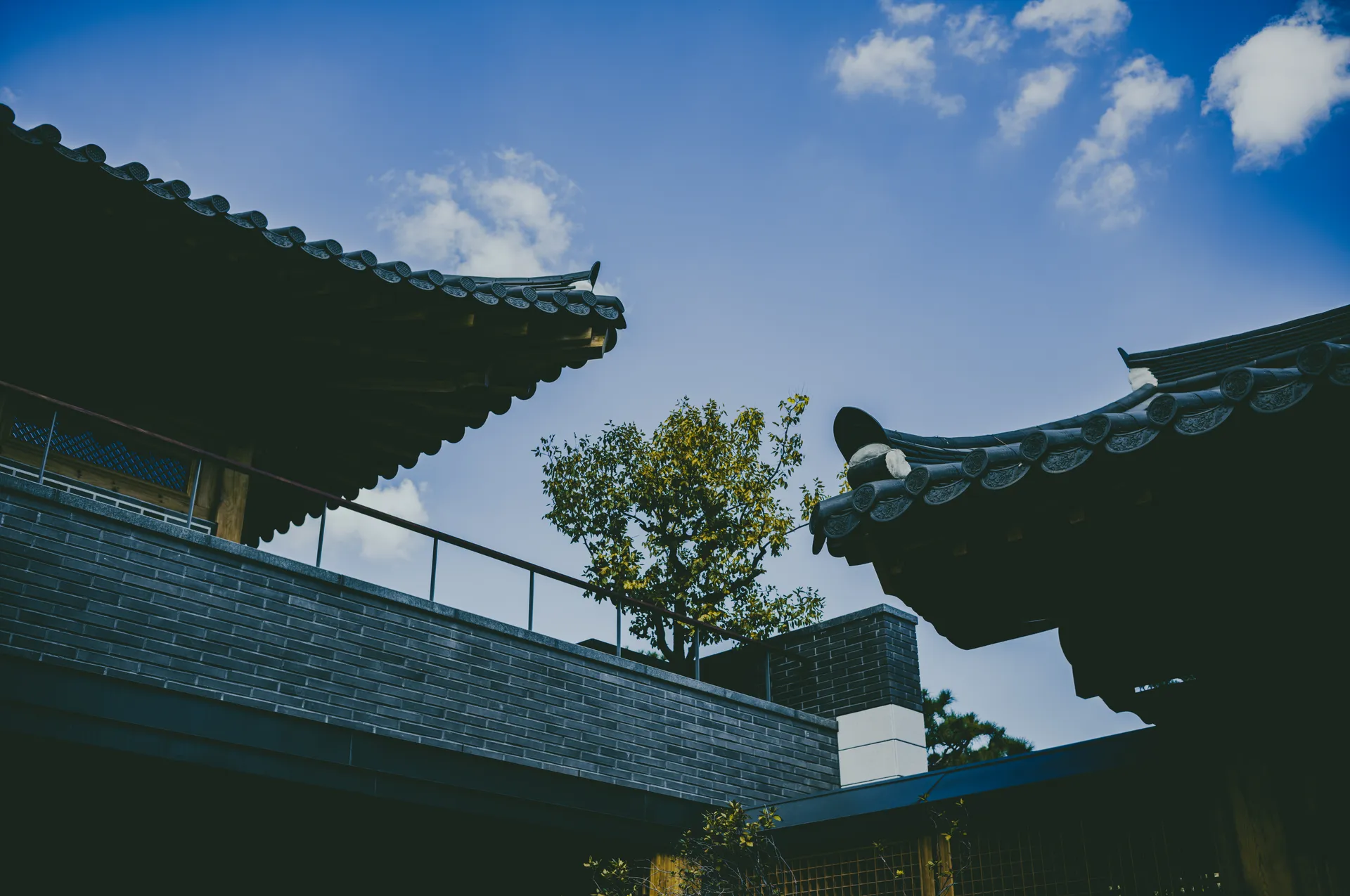 Sunhyewon in September: Hanok, Gold and a Web of Glass