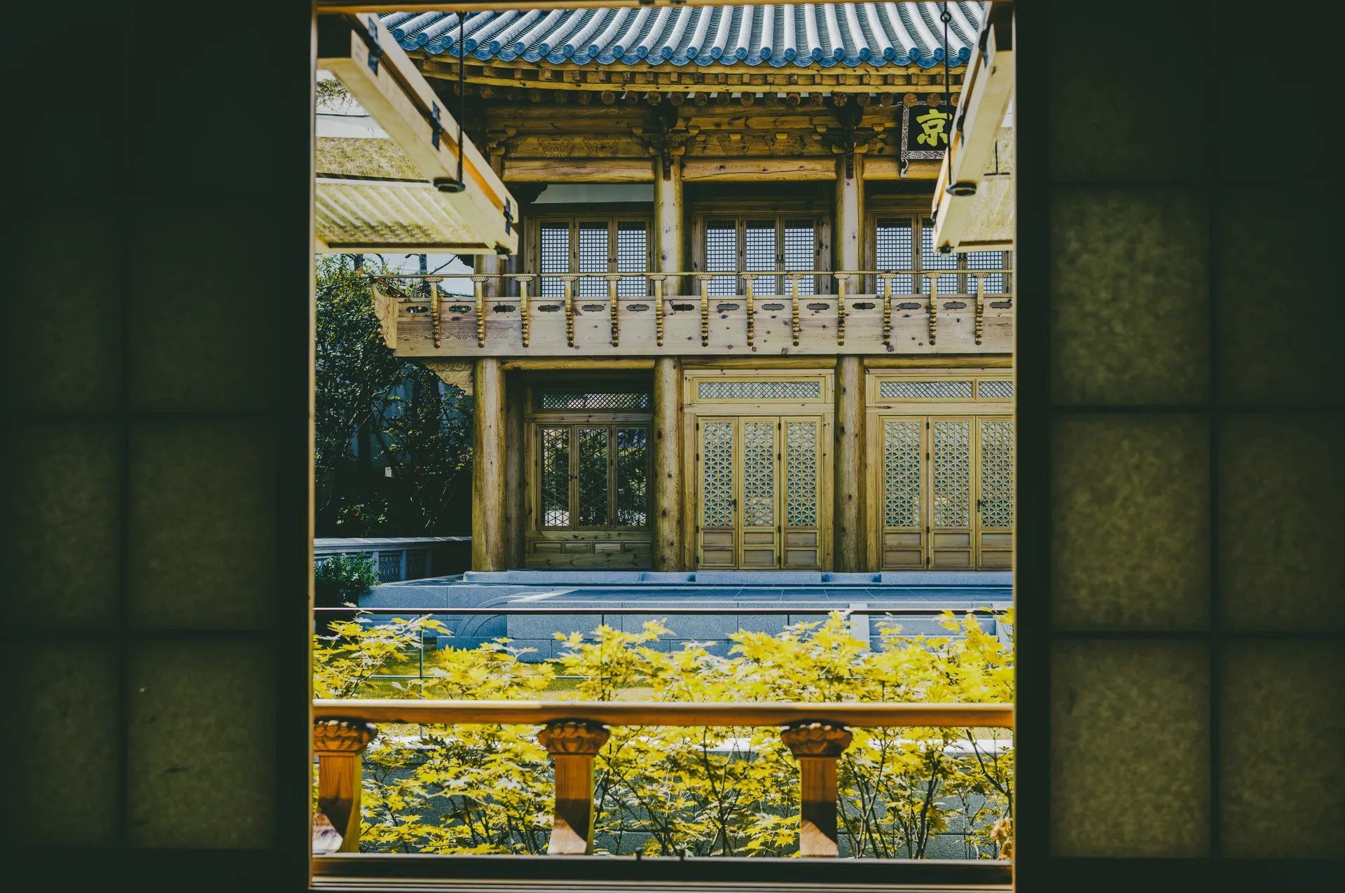 Sunhyewon in September: Hanok, Gold and a Web of Glass
